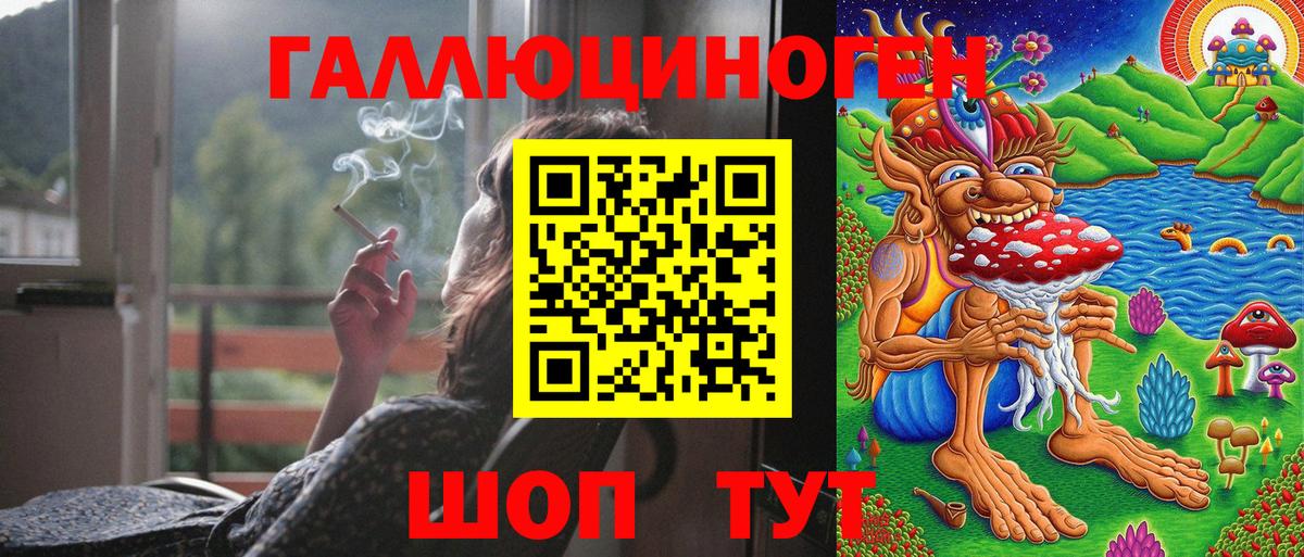 Псилоцибиновые грибы Psilocybine cubensis Заволжье