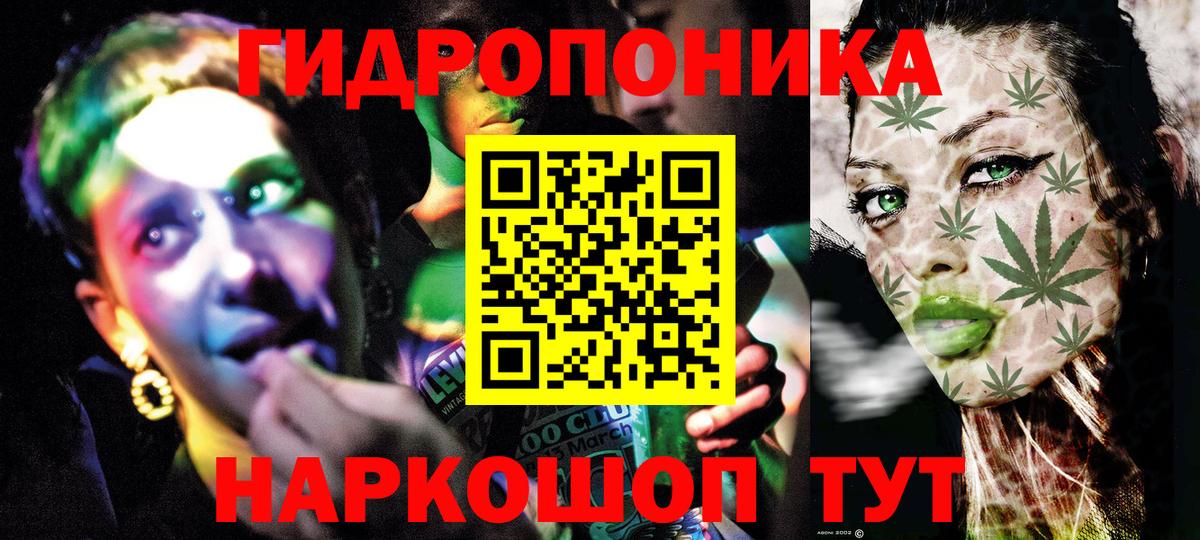Шишки марихуана планчик Заволжье